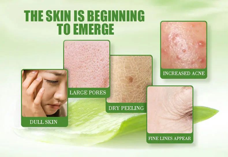 Deep Hydration Aloe Vera Face Cream