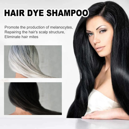 Natural Herbal Hair Dye Shampoo