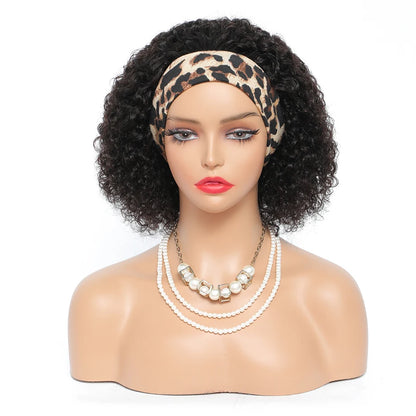 Kinky Curly Wig Human Hair